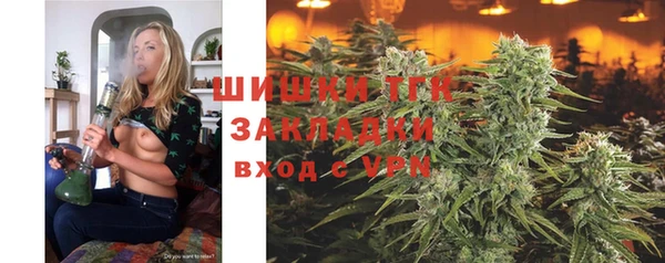 дмт Белокуриха