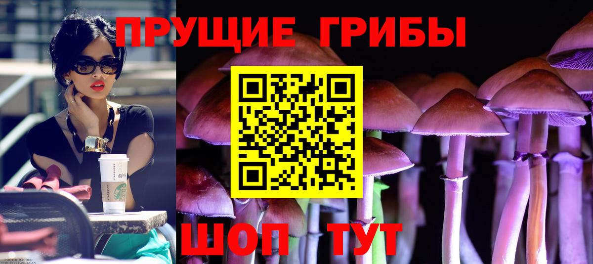 Губкинский  как найти закладки  Вход с VPN  Галлюциногенные грибы GOLDEN TEACHER 